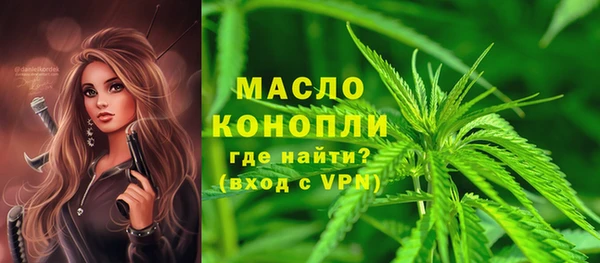 стафф Бородино