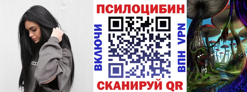 Псилоцибиновые грибы Psilocybine cubensis  Зеленодольск 