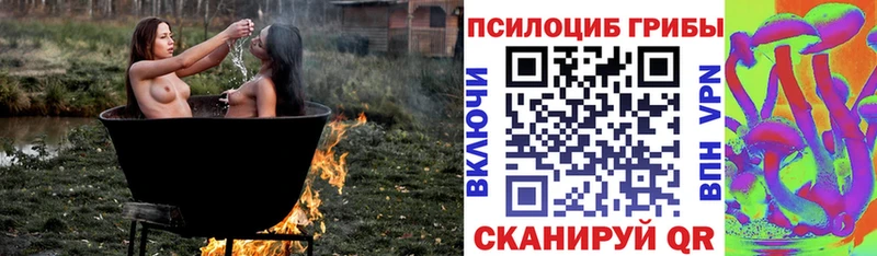 Галлюциногенные грибы Magic Shrooms Зеленодольск