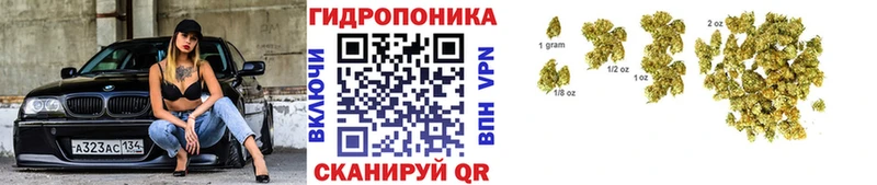 что такое Зеленодольск Бошки марихуана THC 21%